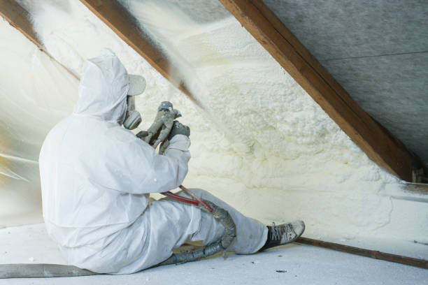 Best Attic Insulation Installation  in Abingdon, VA