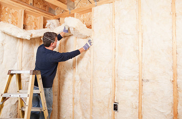 Trusted Abingdon, VA Insulation Services Experts